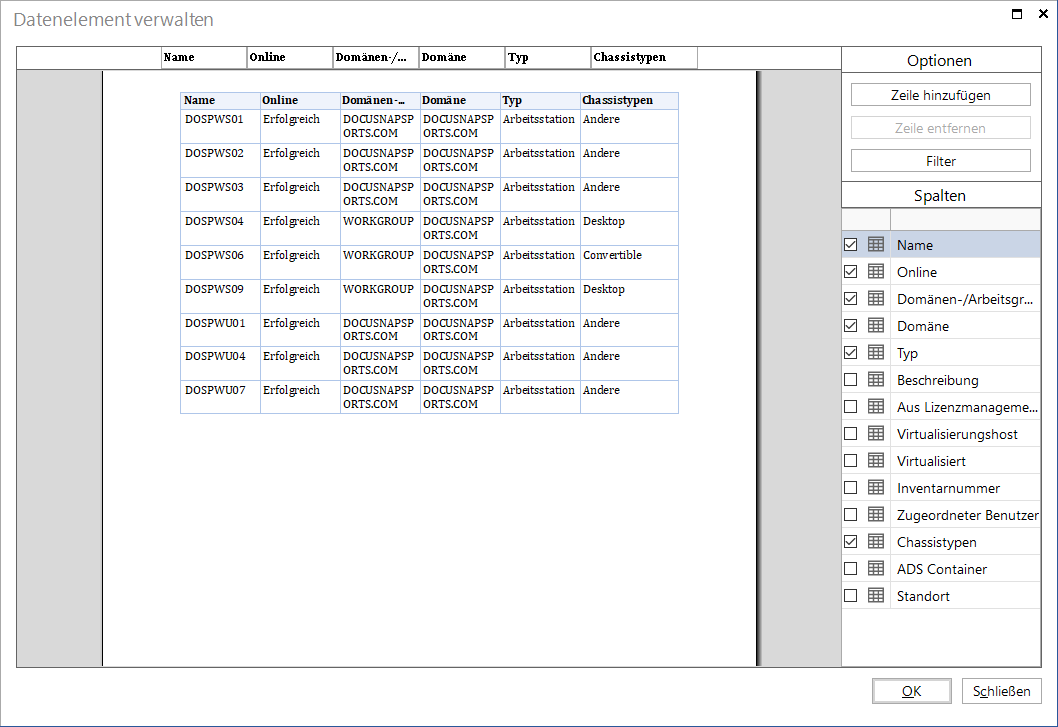 Docusnap IT-Konzepte Datenelement Spaltenoptionen Docusnap IT-Konzepte Datenelement Spaltenoptionen