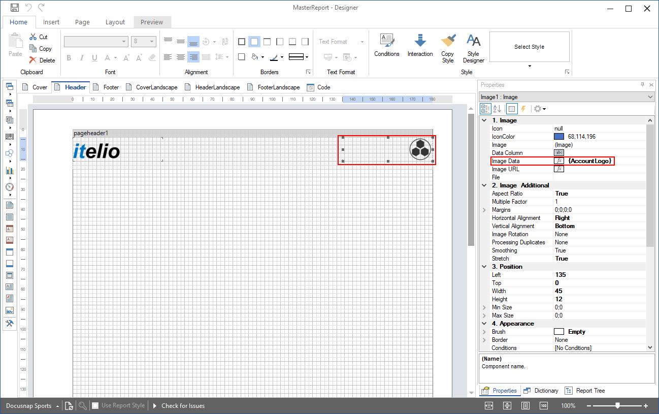 Docusnap-Report-Designer-Master-Report-account-Logo Docusnap-Report-Designer-Master-Report-account-Logo
