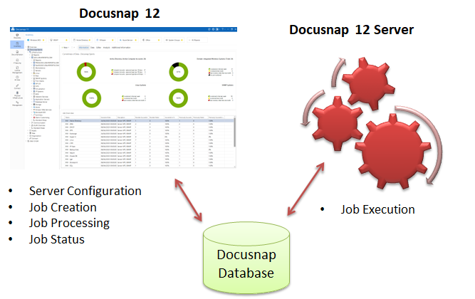 Docusnap-Server-Overview-Graph Docusnap-Server-Overview-Graph